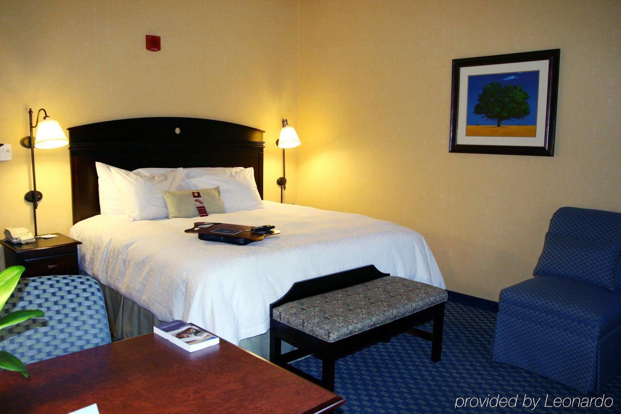 Hampton Inn Maysville Chambre photo